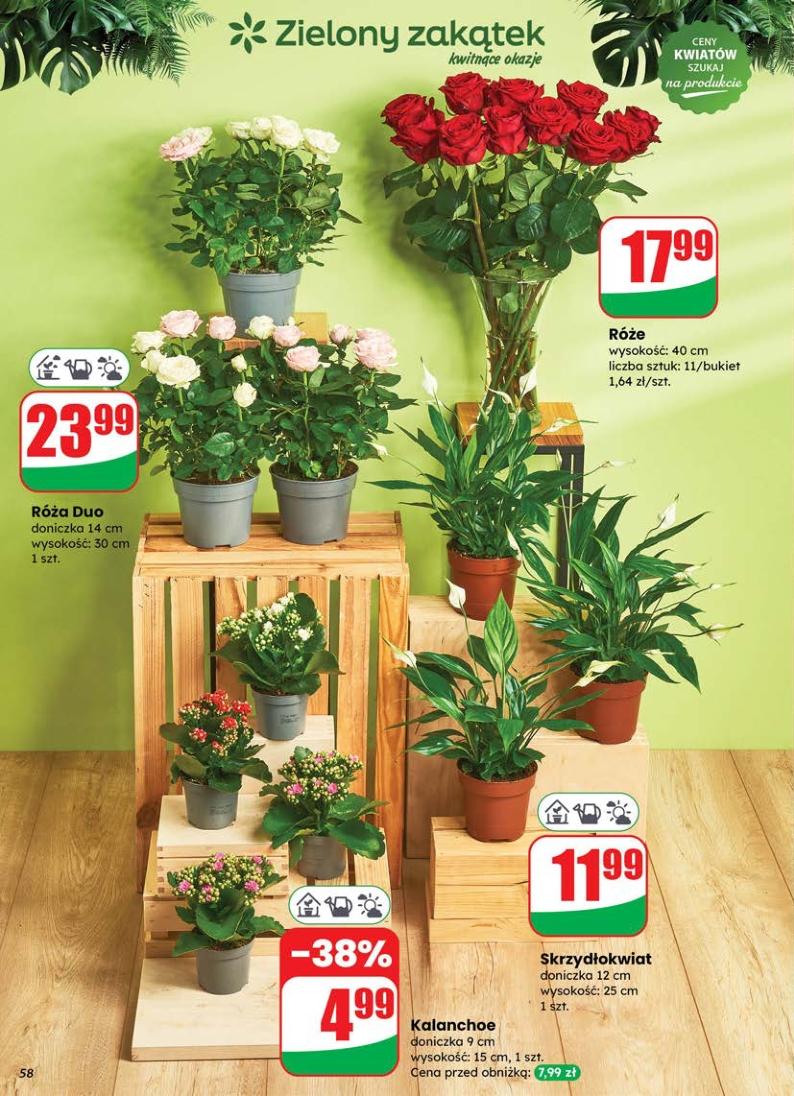 Gazetka promocyjna DINO str. 58