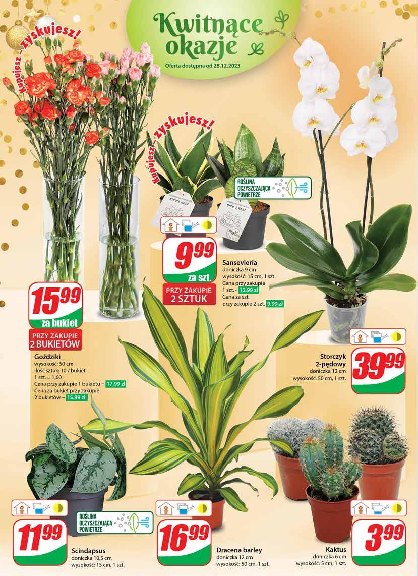 Gazetka promocyjna DINO str. 22