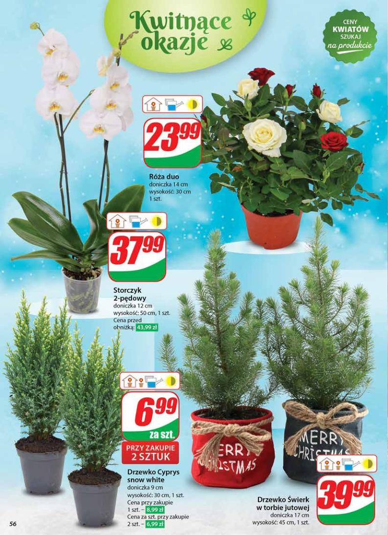 Gazetka promocyjna DINO str. 56