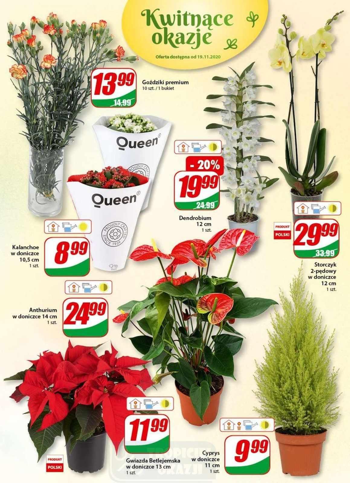 Gazetka promocyjna DINO str. 16