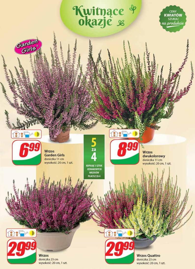 Gazetka promocyjna DINO str. 49