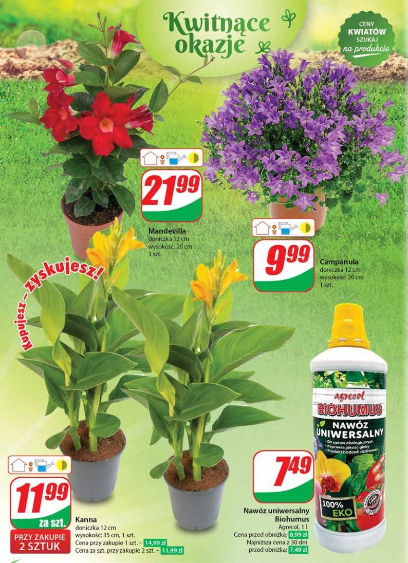 Gazetka promocyjna DINO str. 50