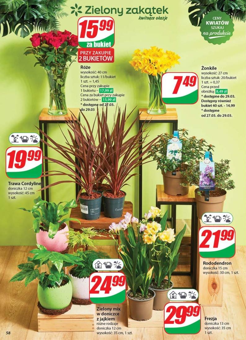 Gazetka promocyjna DINO str. 57