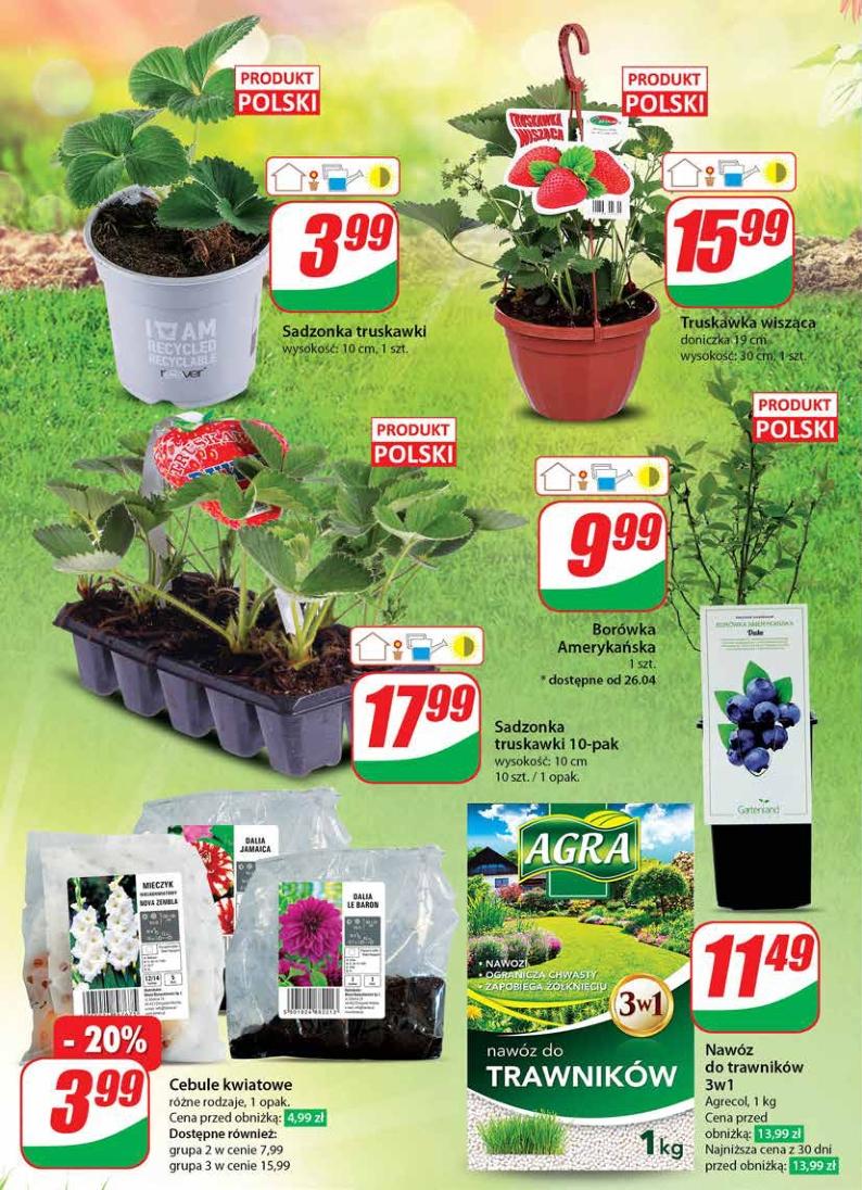 Gazetka promocyjna DINO str. 53