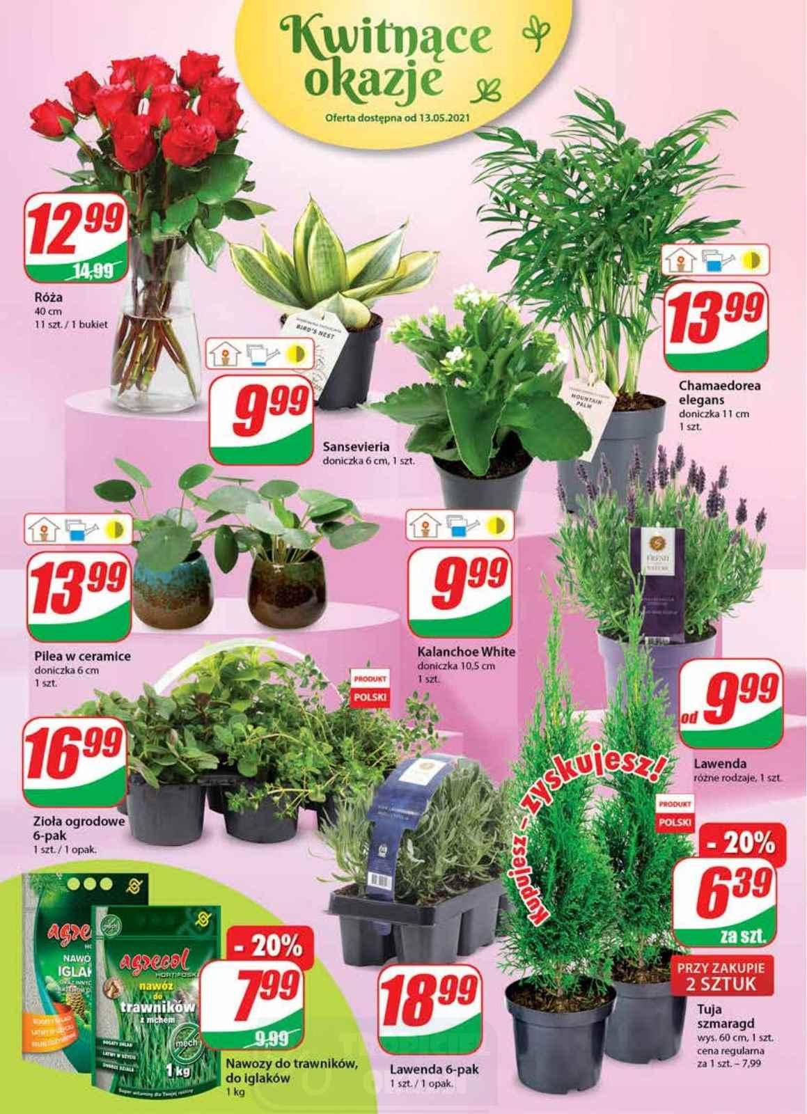 Gazetka promocyjna DINO str. 16