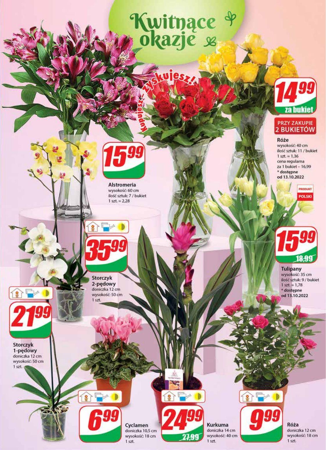 Gazetka promocyjna DINO str. 19