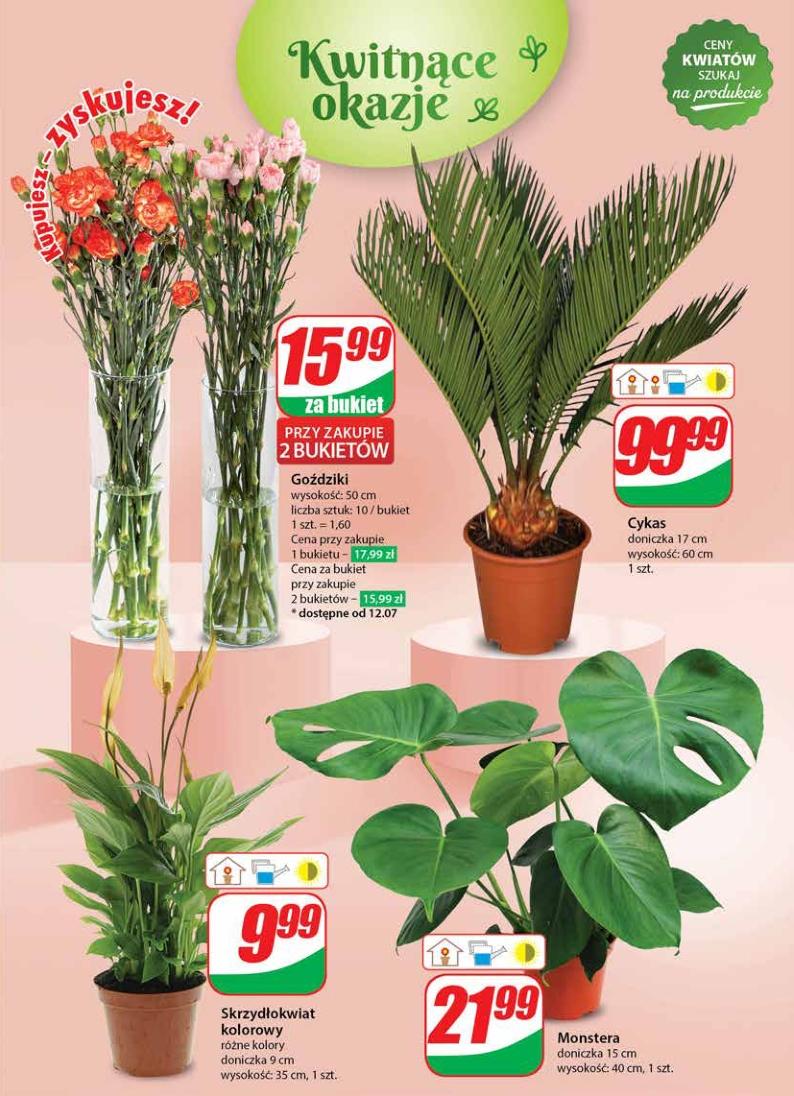 Gazetka promocyjna DINO str. 45