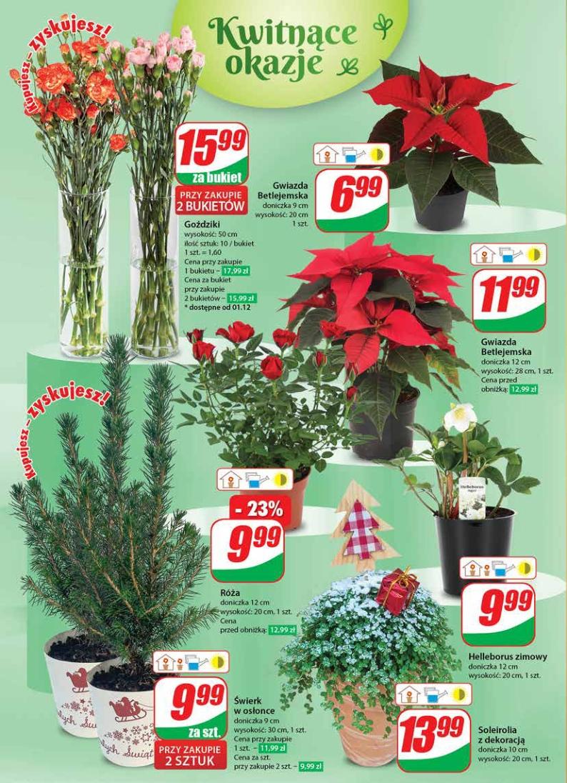 Gazetka promocyjna DINO str. 22