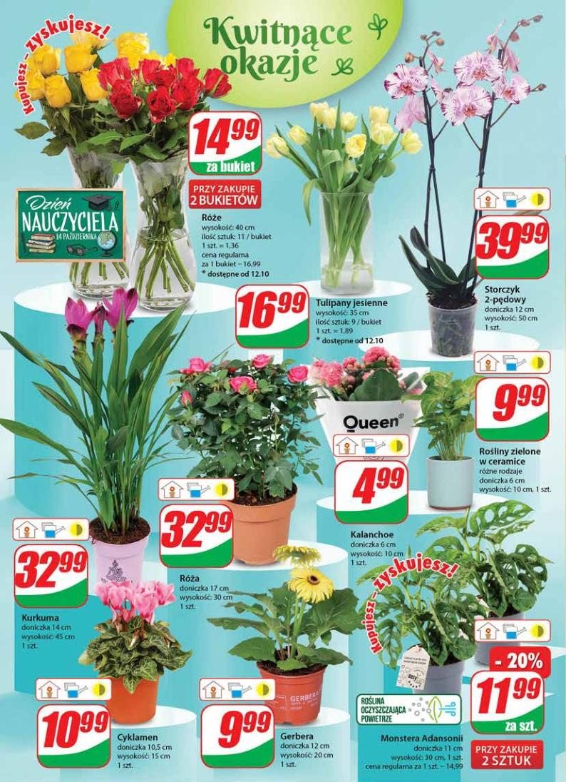 Gazetka promocyjna DINO str. 18