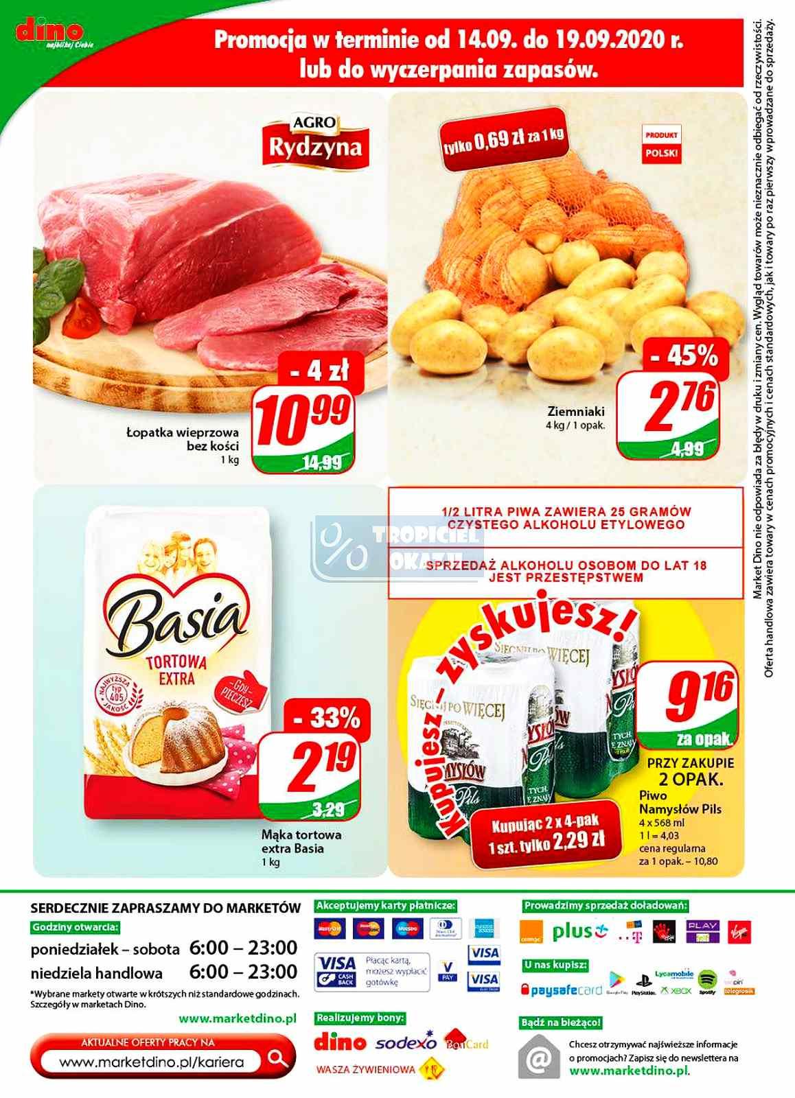 Gazetka promocyjna DINO str. 20