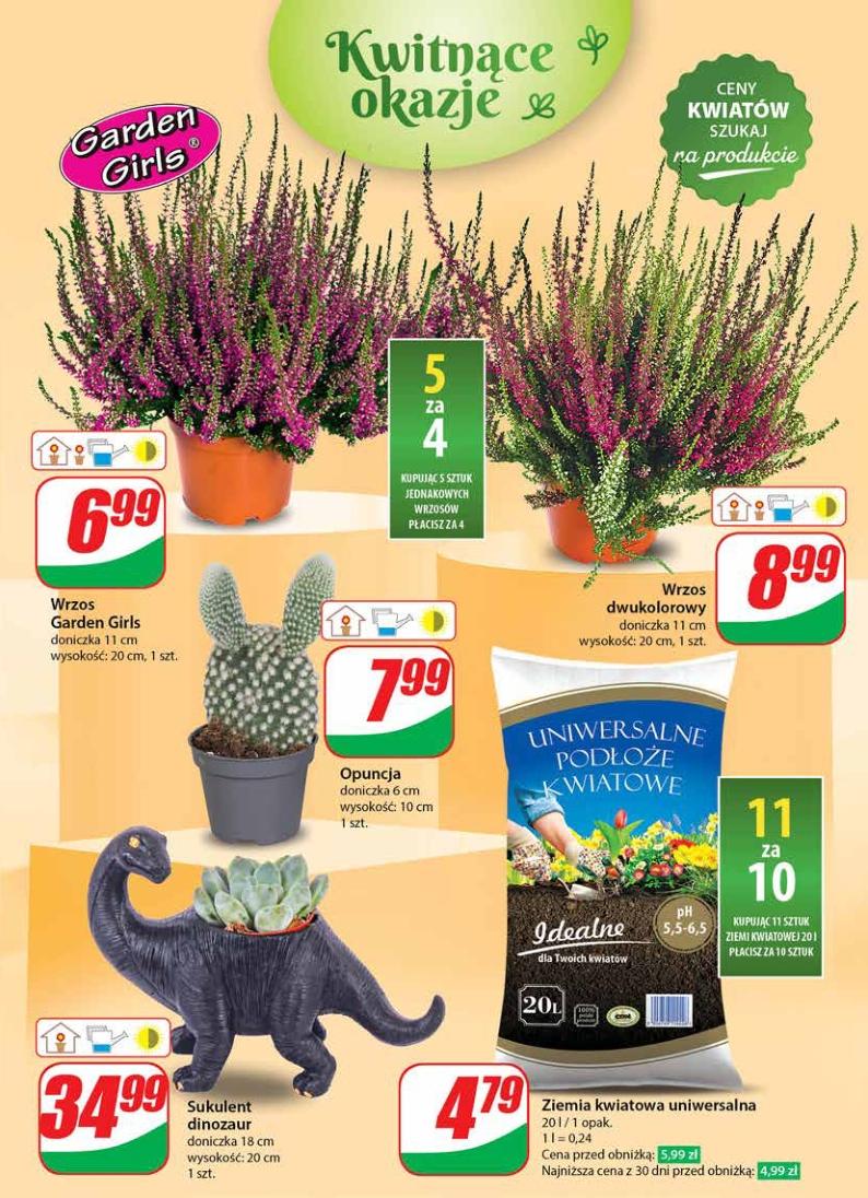 Gazetka promocyjna DINO str. 51