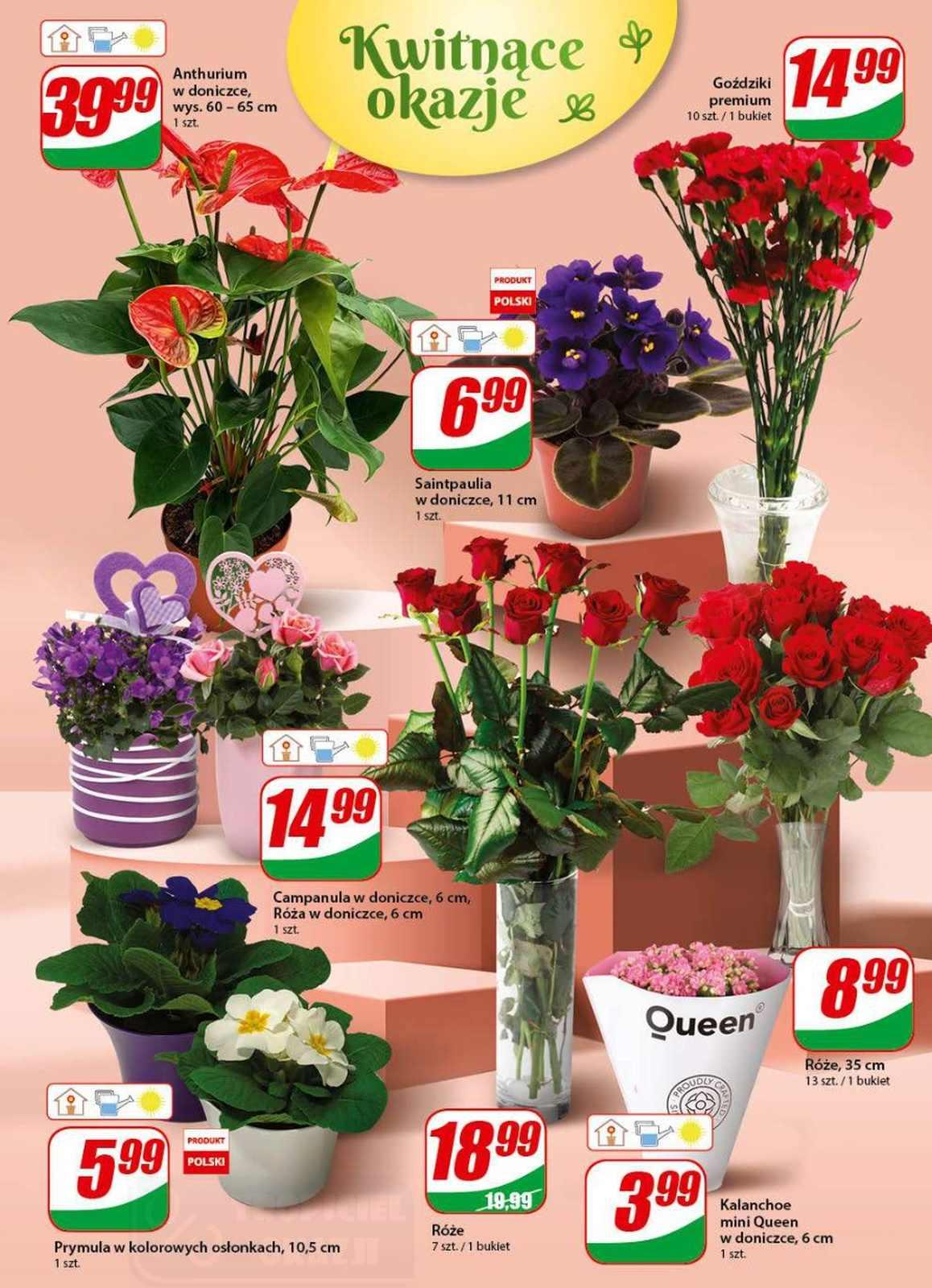 Gazetka promocyjna DINO str. 16