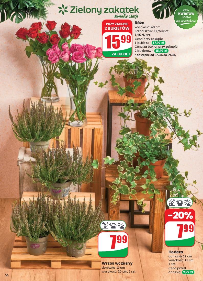 Gazetka promocyjna DINO str. 56