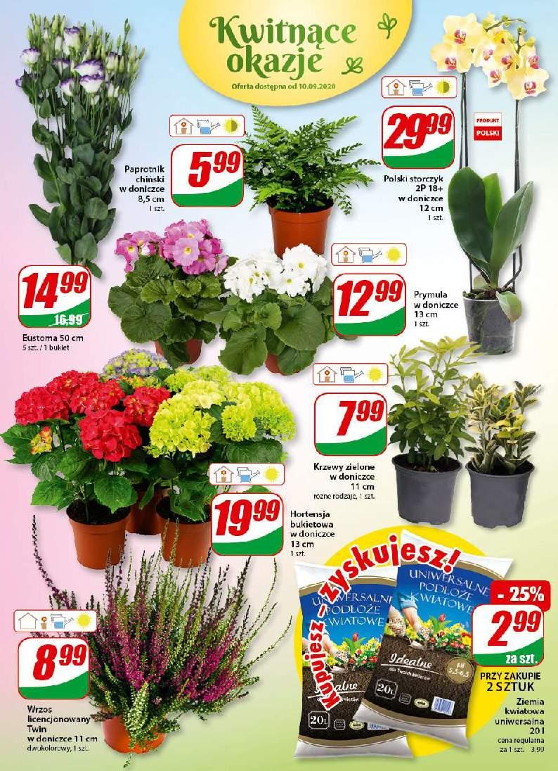 Gazetka promocyjna DINO str. 15