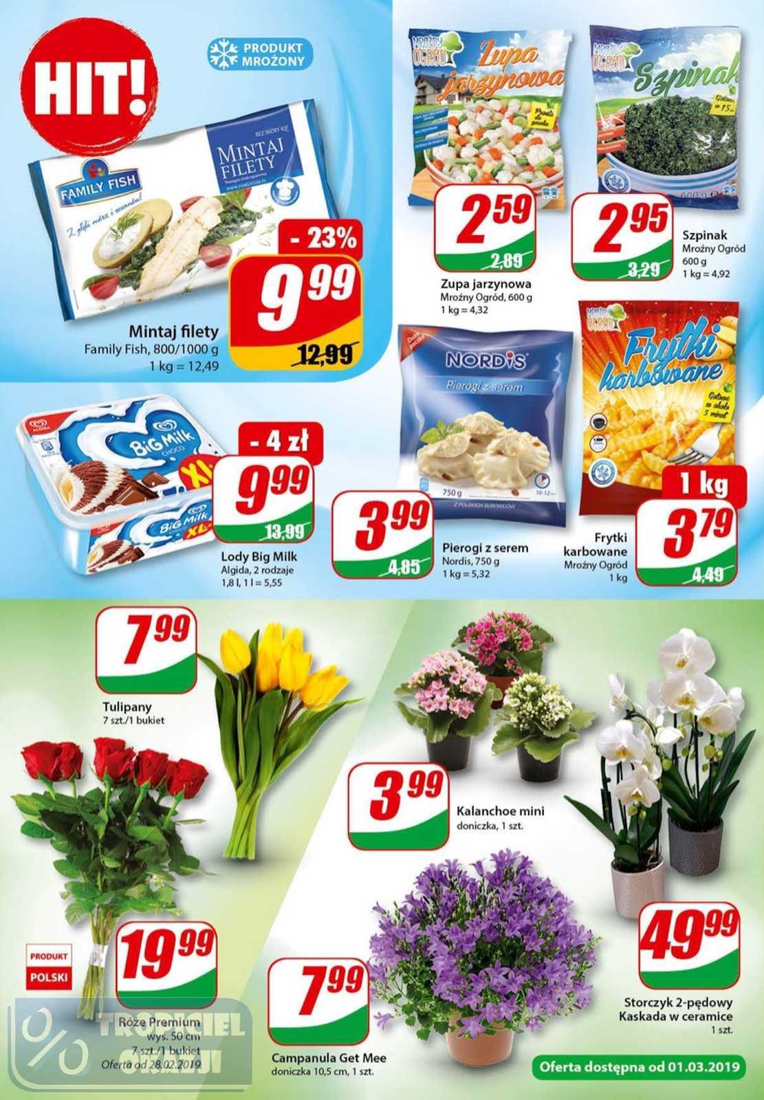 Gazetka promocyjna DINO str. 6