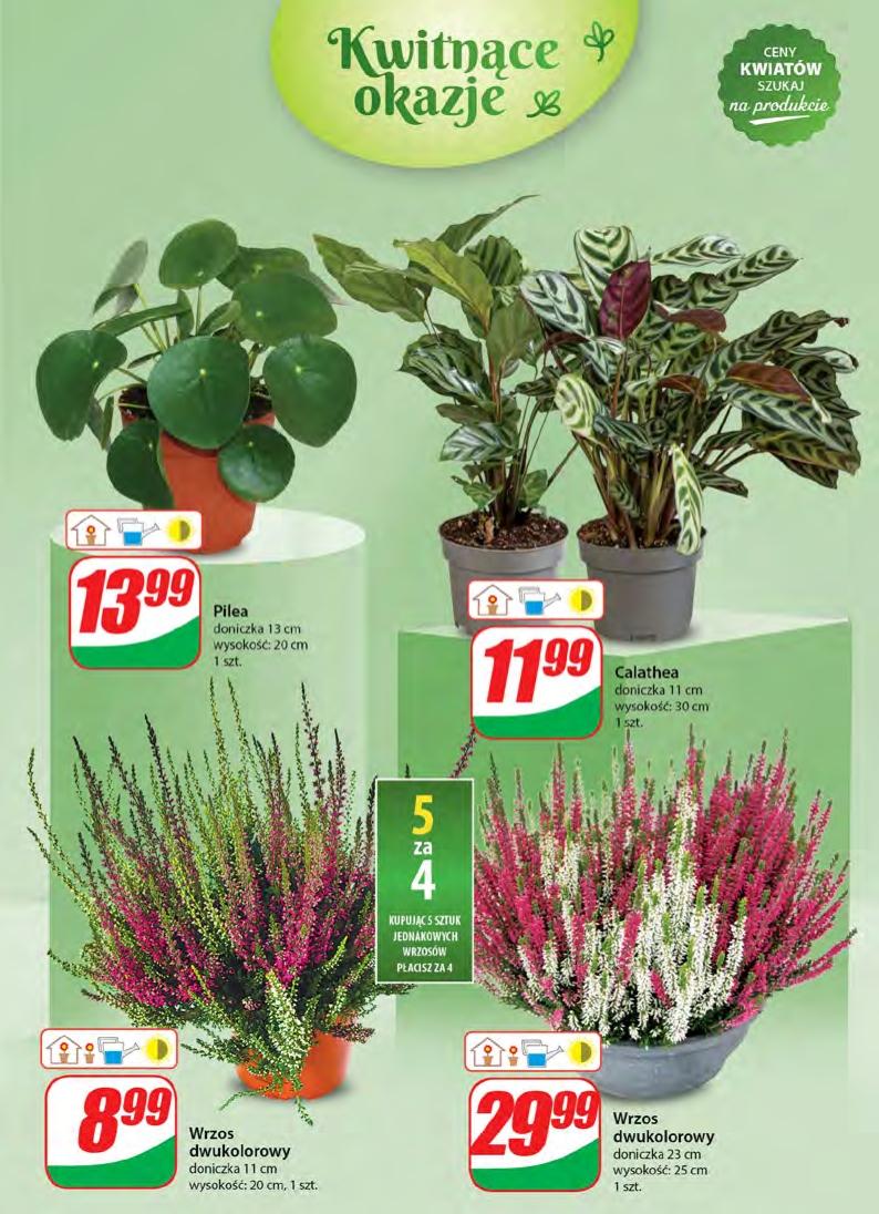 Gazetka promocyjna DINO str. 51