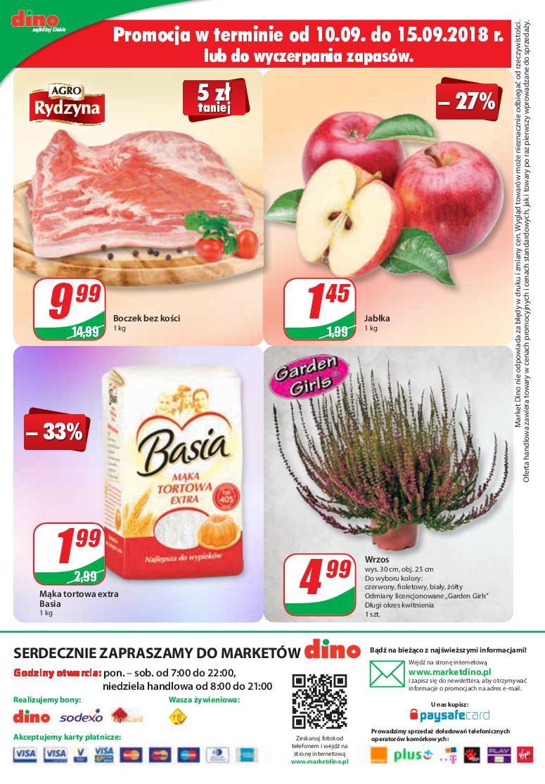Gazetka promocyjna DINO str. 12