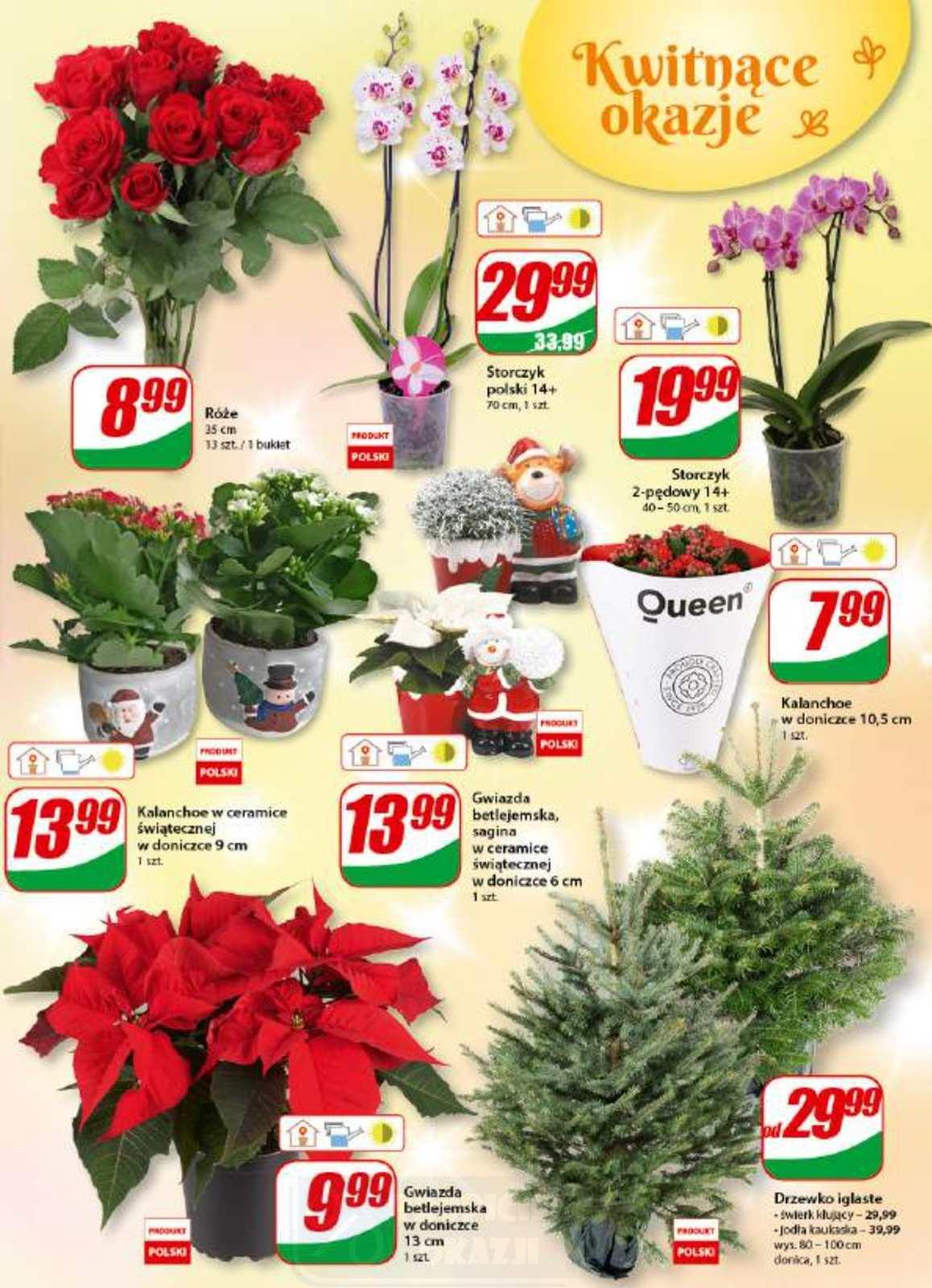 Gazetka promocyjna DINO str. 17