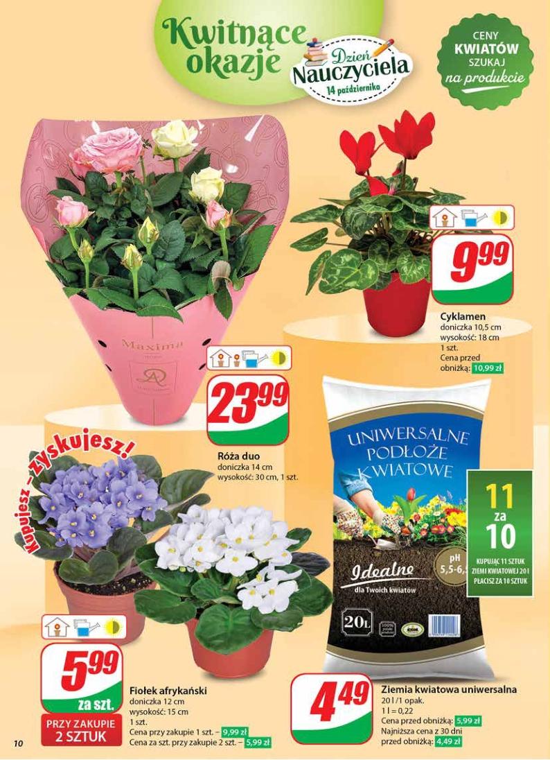 Gazetka promocyjna DINO str. 10