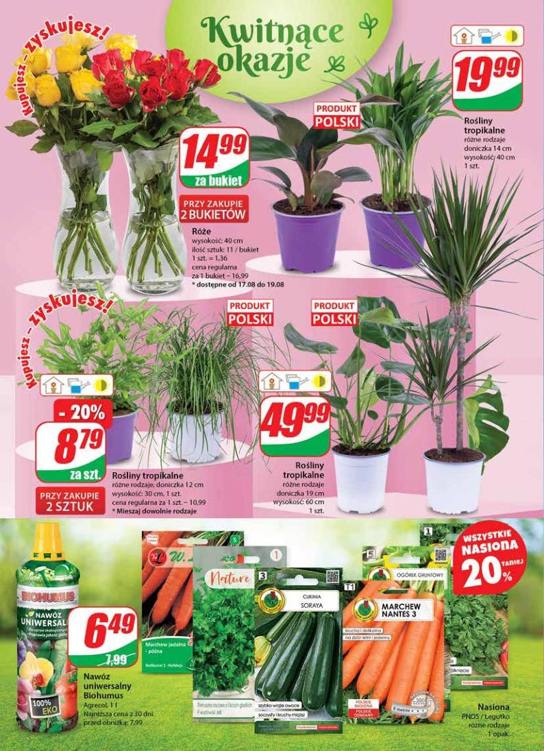 Gazetka promocyjna DINO str. 18