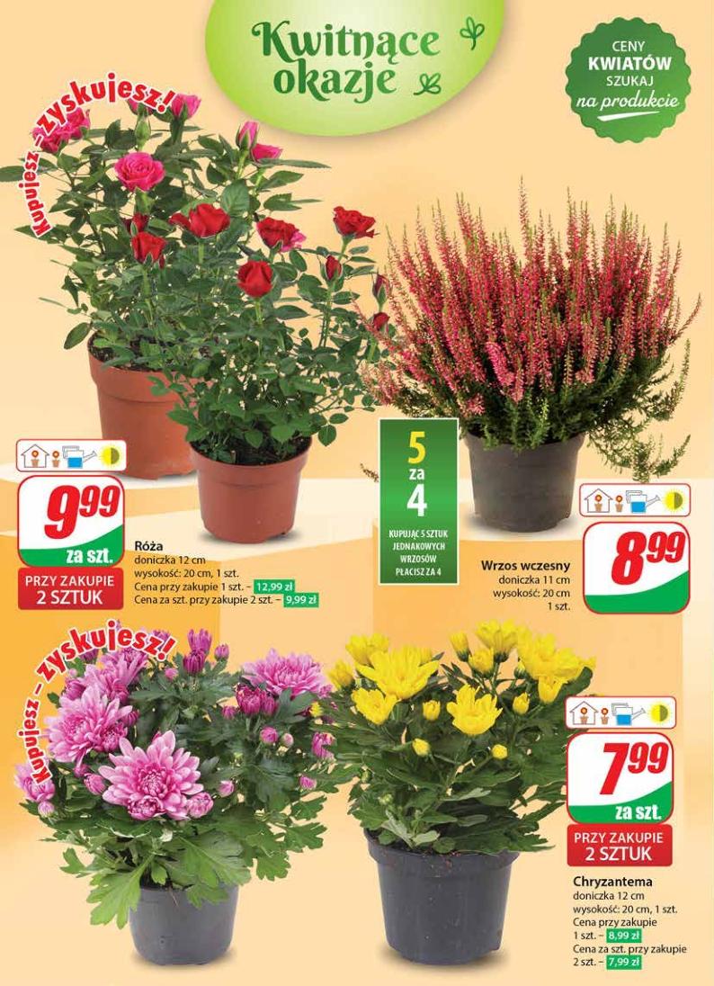 Gazetka promocyjna DINO str. 50